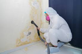 Why You Should Choose Our Mold Remediation Services in Bristol, CT